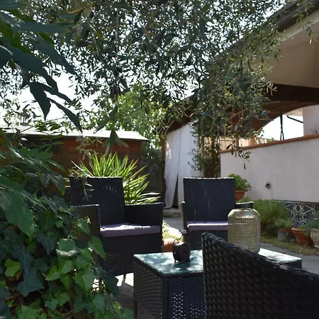 بيت ضيافة Giuditta ماساروسا